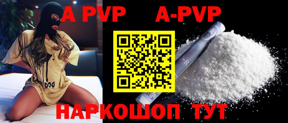 Alfa_PVP СК КРИС Минеральные Воды