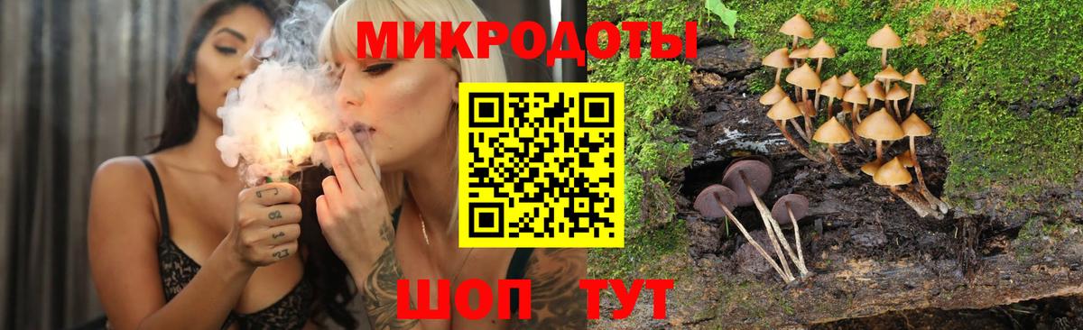 Галлюциногенные грибы мицелий Минеральные Воды